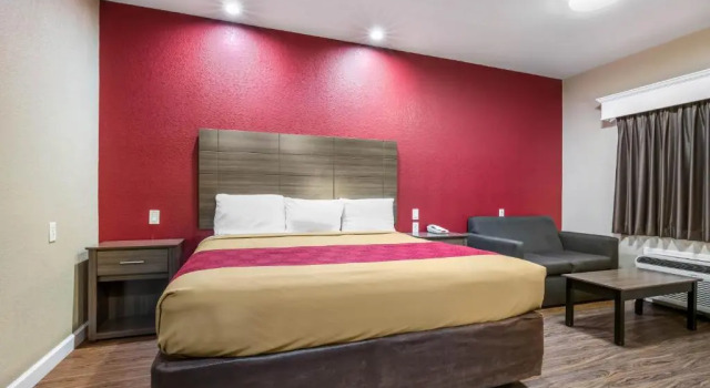 Номер Standard Econo Lodge Inn & Suites Horn Lake - Southhaven