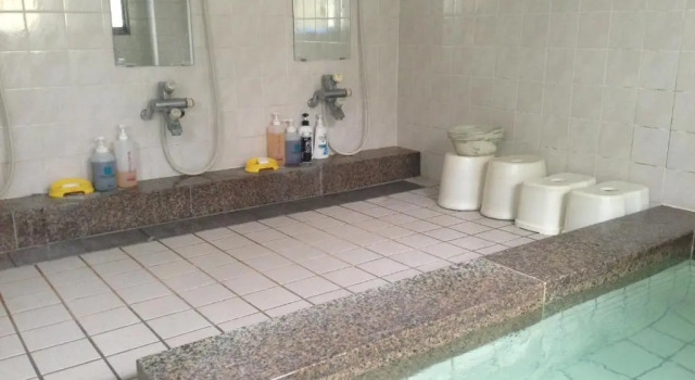 Семейный номер Standard Business Ryokan Wakakusa