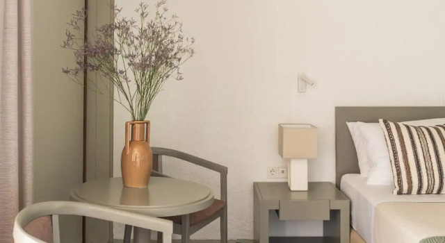 Полулюкс Amalia Hotel Delphi