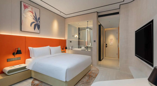 Номер Standard Hilton Garden Inn Nanjing Hexi Olympic Sports Center