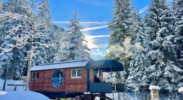 Номер Standard Typically Swiss Hotel Ermitage