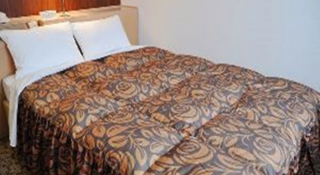 Двухместный номер Standard Hotel Castle Plaza