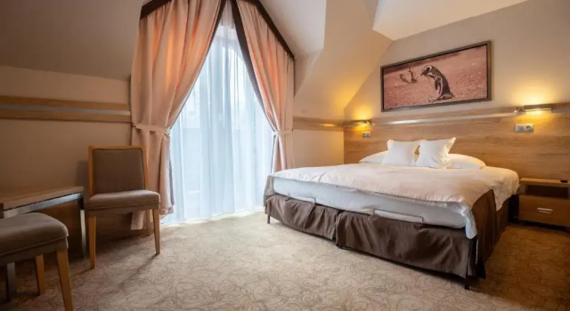 Двухместный номер Standard Hotel & SPA Czarny Groń