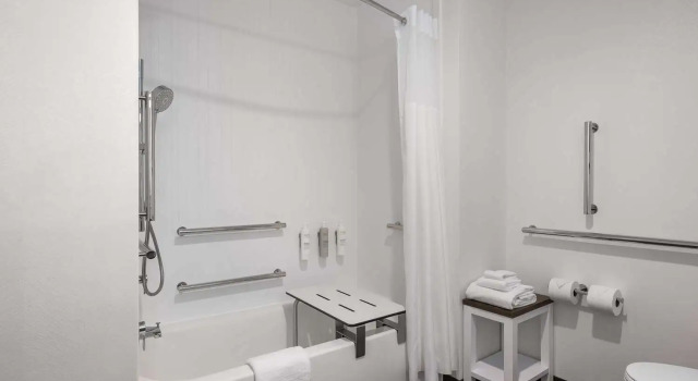 Номер Standard Hampton Inn & Suites by Hilton Pittsboro