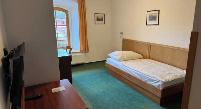 Одноместный номер Standard с видом на город LH Hotel Mlýn
