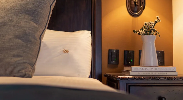 Номер Standard The Essentia Hotel - Sma