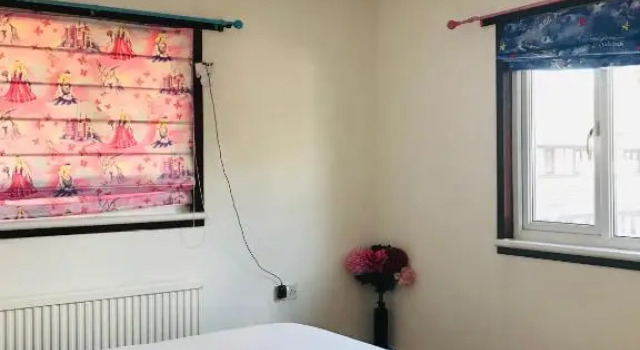 Spacious House 15min to Canary Wharf/O2/Excel/Central London