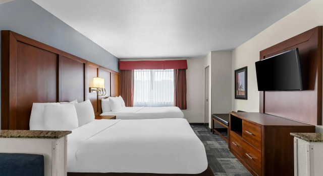 Четырёхместный люкс Business Comfort Suites Denver Tech Center