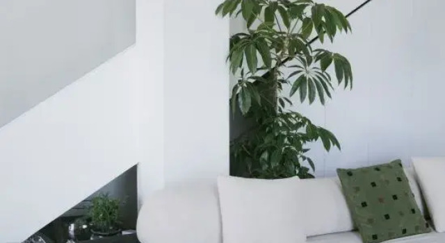 suiye·stone B&B, Boek Bed and Breakfast Hotels in Taizhou met parkeren, Parkeren