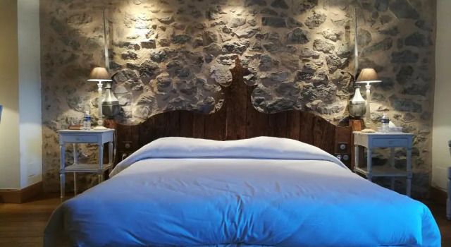Двухместный люкс Prestige Hotel Logis - Chateau de Beauregard
