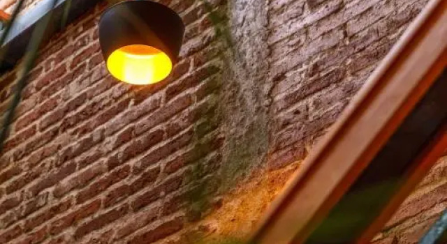 La Abuelita Hostal, Book Hotel Cheap Hotels in Chiapas