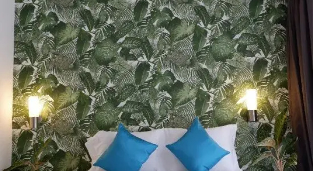 Номер Standard The Lush Apartments & Suites