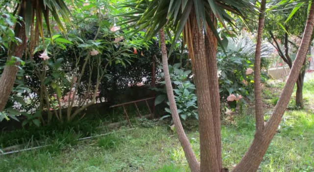 Giardino degli aranci - Resort