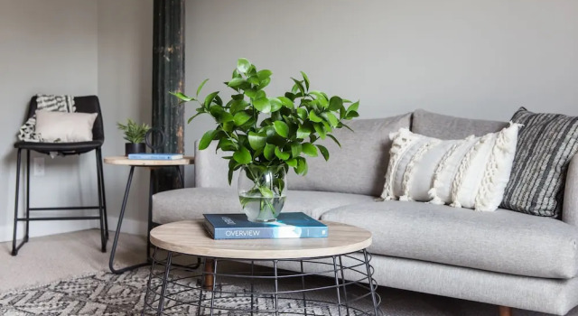 Architectural 1BR in Irish Channel by Sonder, Rezervați Hotel New Orleans Louisiana
