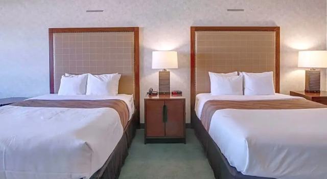 Номер Business Ramada by Wyndham Nisku Edmonton Airport