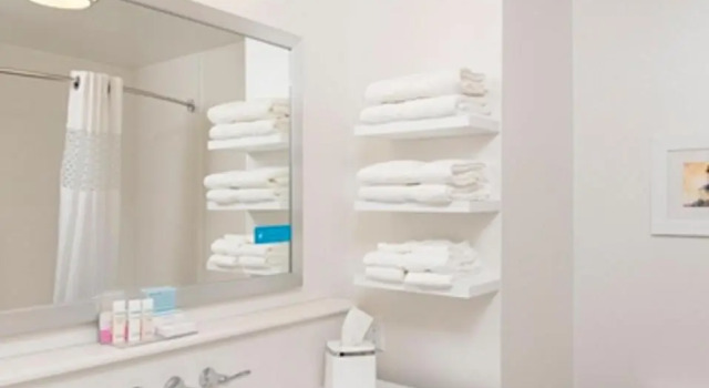 Люкс Hampton Inn and Suites Michigan City
