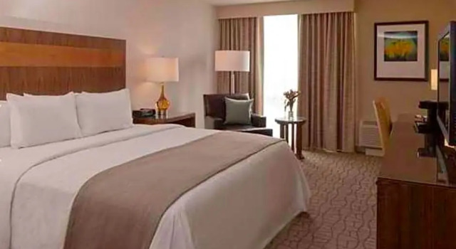 Двухместный номер Oversized DoubleTree by Hilton Pittsburgh-Green Tree