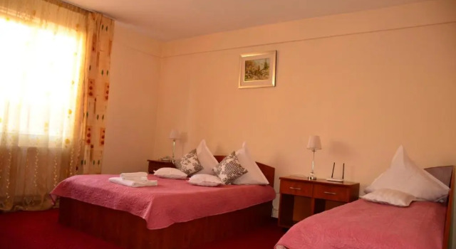 Номер Standard Hotel Delaf