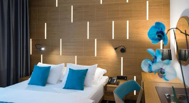 Двухместный номер Deluxe Hotel Sana