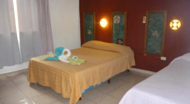 Номер Standard Petit Hotel Panambi