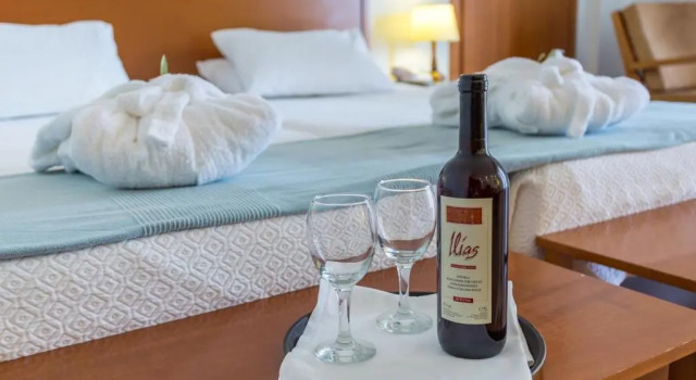 Двухместный номер Superior с видом на море Xenia Ouranoupolis Hotel