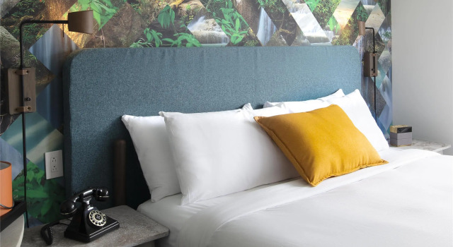 Номер Standard Canvas Moncton, Tapestry Collection By Hilton