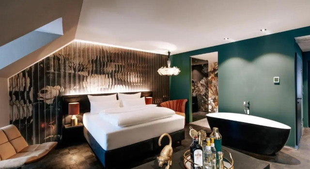 Полулюкс Aiola Living Boutique Hotel Graz