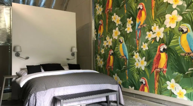 Apartamento De lujo Hotel 49