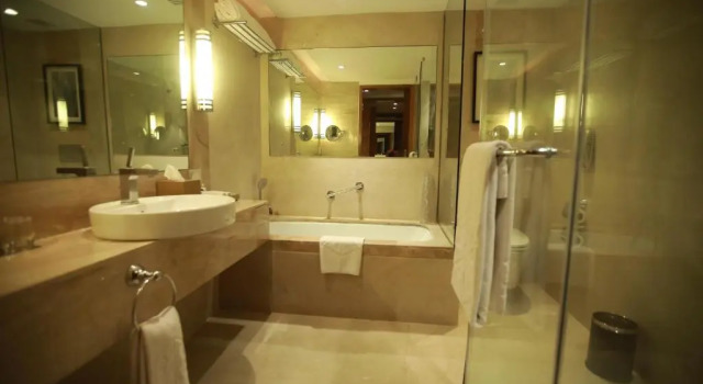 Полулюкс Taj Coromandel
