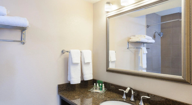 Номер Standard Holiday Inn Metairie New Orleans by IHG