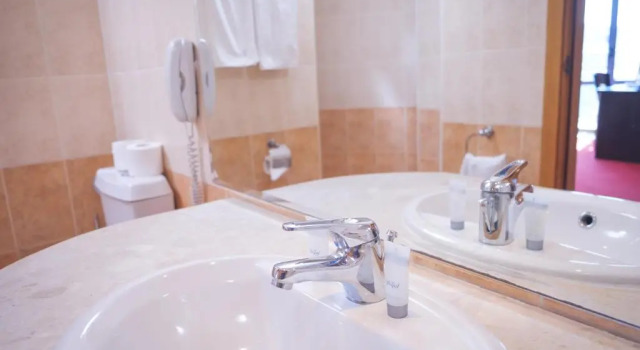 Двухместный номер Superior с видом на парк Hotel Rеgina - Golden Sands All Inclusive