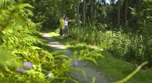 Pension Bergstub`n, Prenota Hotel Saldenburg Foresta Bavarese
