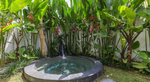 Вилла Eco Bamboo Jungle