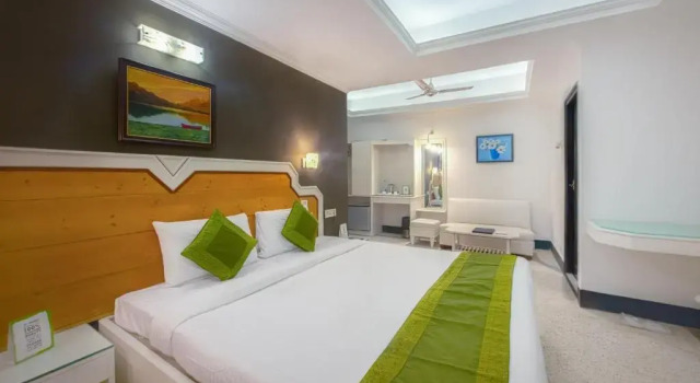 Номер Deluxe Treebo Green View, Park Circus