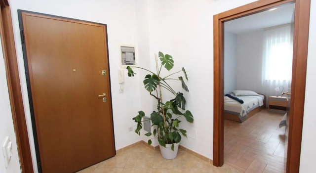 Apartments Lola