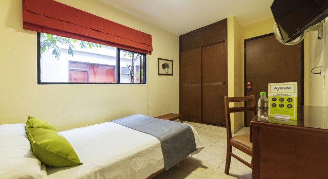 Ayenda 1502 Principe