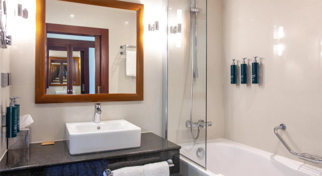 Одноместный номер Standard DoubleTree by Hilton Bratislava