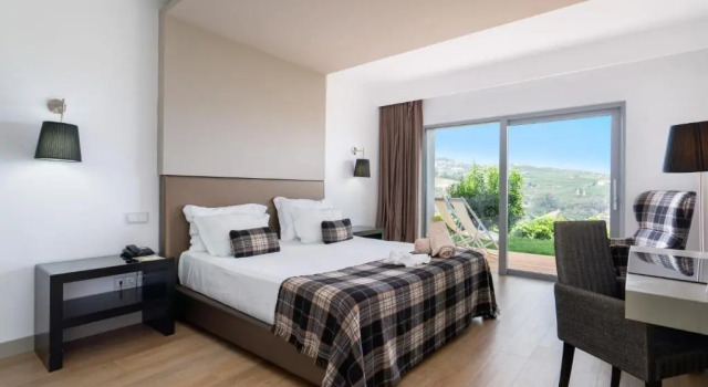 Двухместный номер Standard Цокольный этаж с видом на реку Delfim Douro Hotel