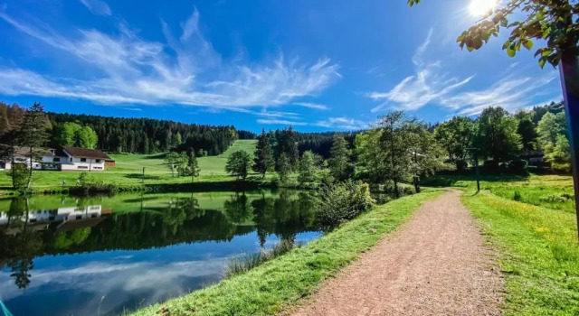 Апартаменты Ferienwohnungen Am Skilift