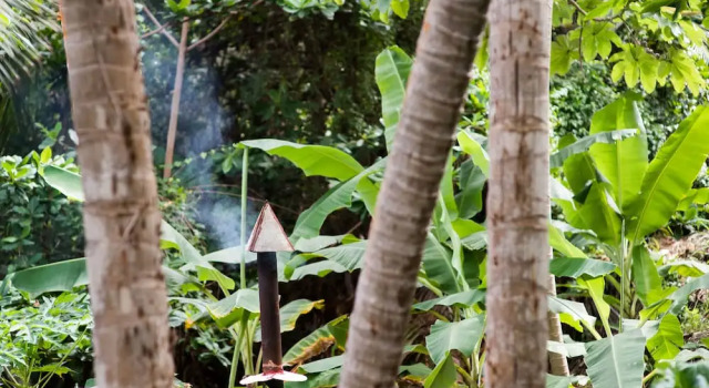 Апартаменты ECO Lifestyle & Lodge