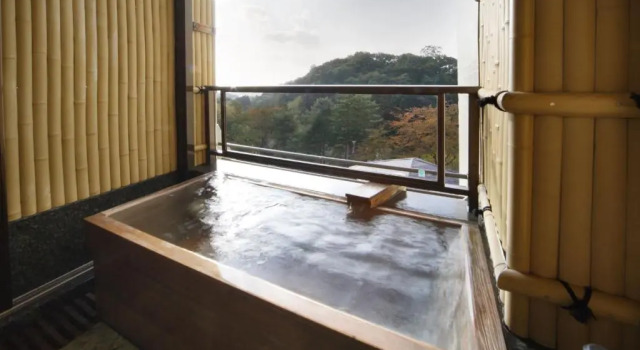 Люкс Hotel Oyanagi