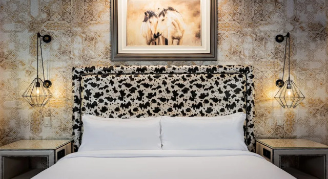 Двухместный номер Standard с красивым видом из окна The Brownwood Hotel & Spa