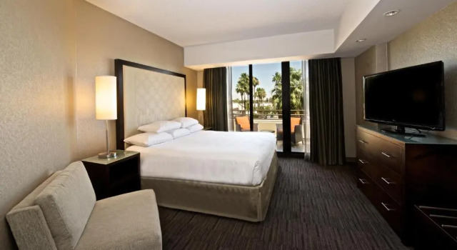 Двухместный люкс с видом на горы Hyatt Palm Springs
