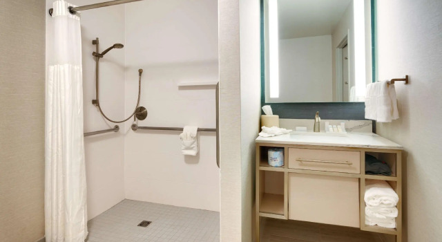 Двухместный номер Standard Hilton Garden Inn Idaho Falls