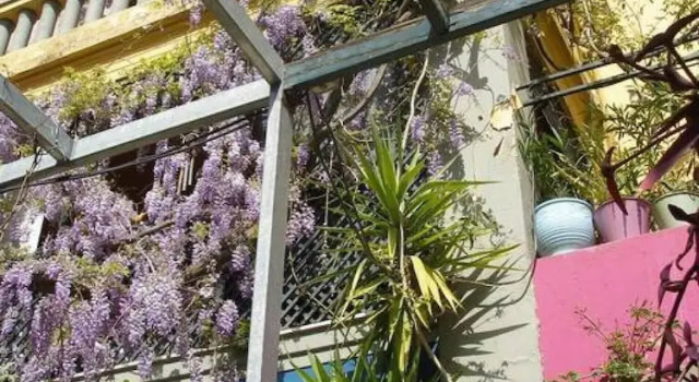 Студия Living Like in a Cottage in the Center of Athens