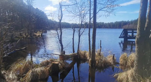 Apatrament Krewetka, Varaa Huoneisto Rowy 