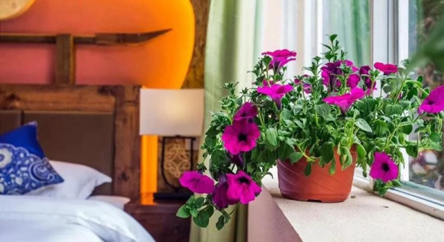 Confectionery Inn, Boek Hotel Hotels in Chengdu met parkeren, Parkeren