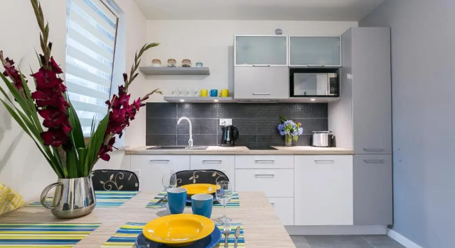 Апартаменты с видом на горы VIP Apartamenty Centrum