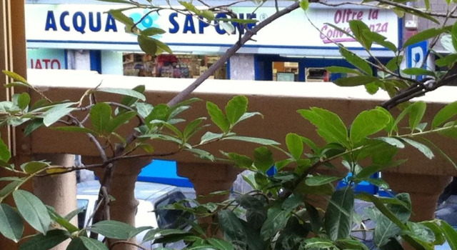 A Casa di GO