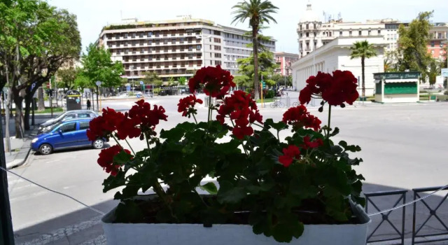 Suite junior Conte di Cavour